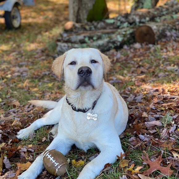 Meet your Posher, Cathy - Picture 2 of 6